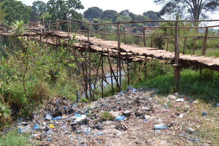 Thin plastics banned, nature prioritised and bat habitat mapped: How our UNA Rivers Project is influencing policy in Malawi