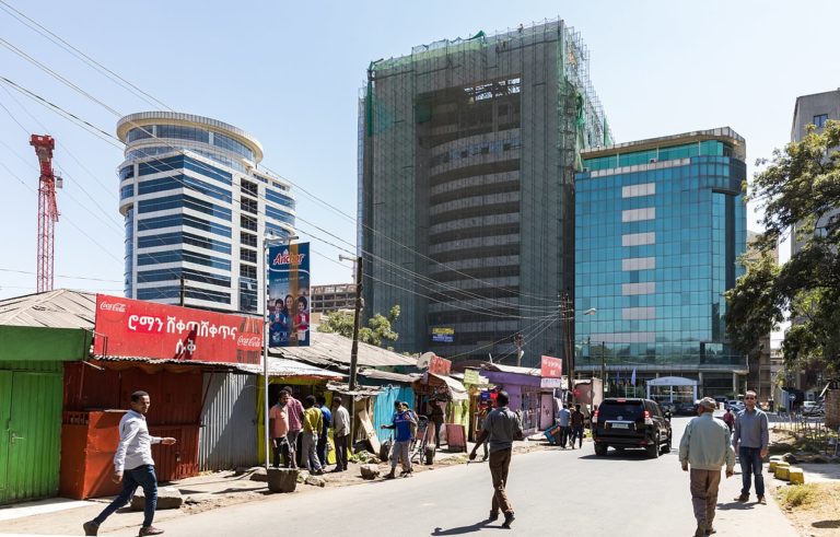 Addis Ababa City Council