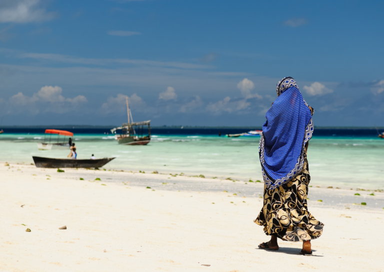 Training coastal cities for resilience