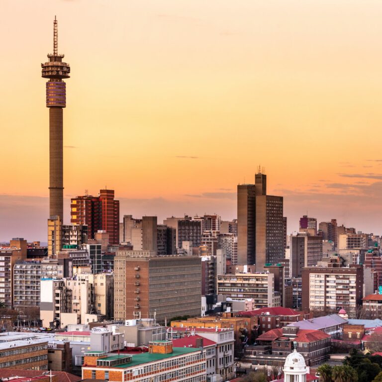 Johannesburg: Schools as the centre of learning about the Nexus