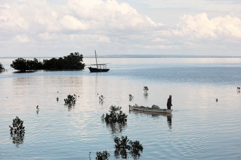 Protecting coastal zones as urban natural assets